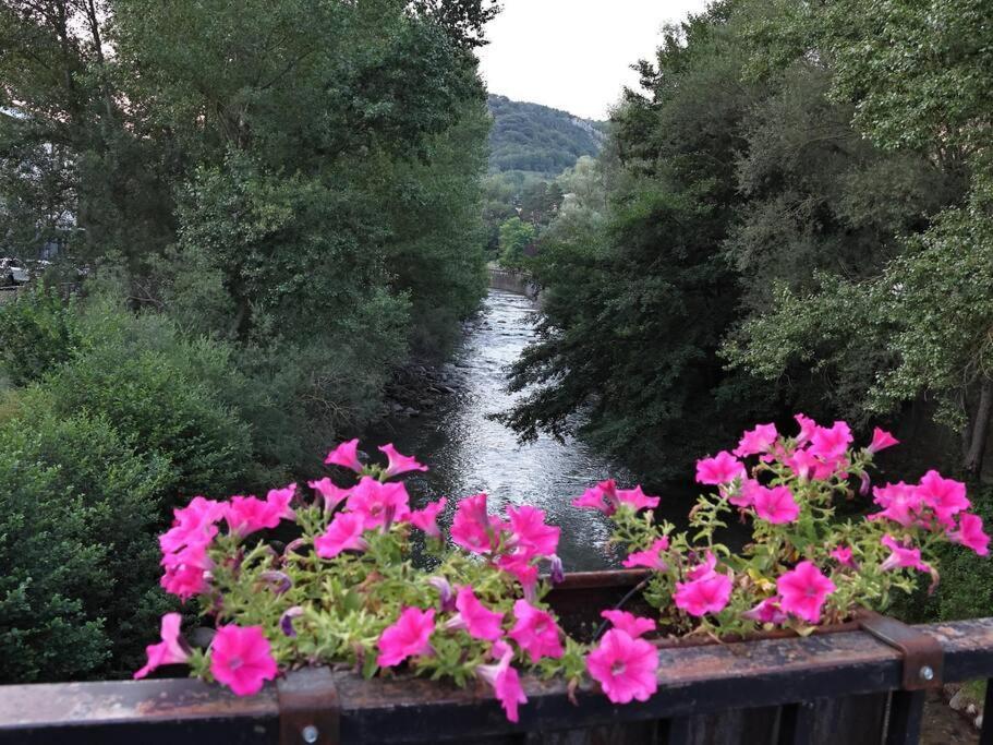 エル・ポン・デ・スエルトAcogedor Apartamento Rustico En Pirineosアパートメント エクステリア 写真